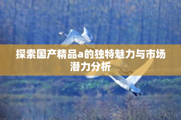 探索国产精品a的独特魅力与市场潜力分析