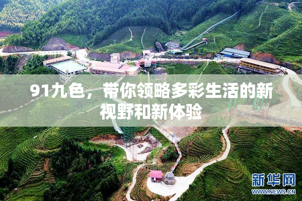 91九色，带你领略多彩生活的新视野和新体验
