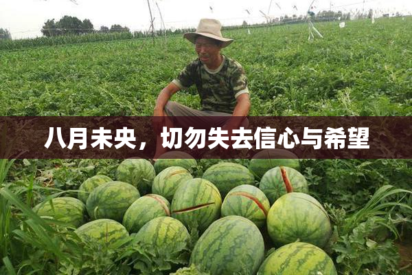 八月未央，切勿失去信心与希望