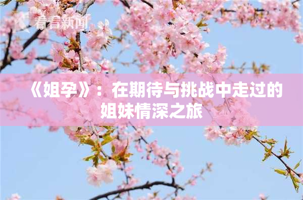 《姐孕》：在期待与挑战中走过的姐妹情深之旅