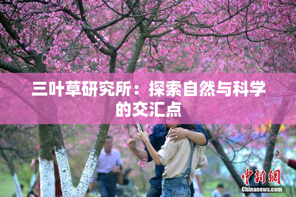 三叶草研究所：探索自然与科学的交汇点