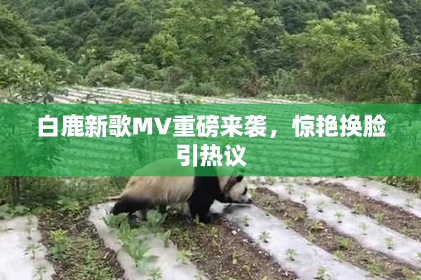 白鹿新歌MV重磅来袭，惊艳换脸引热议