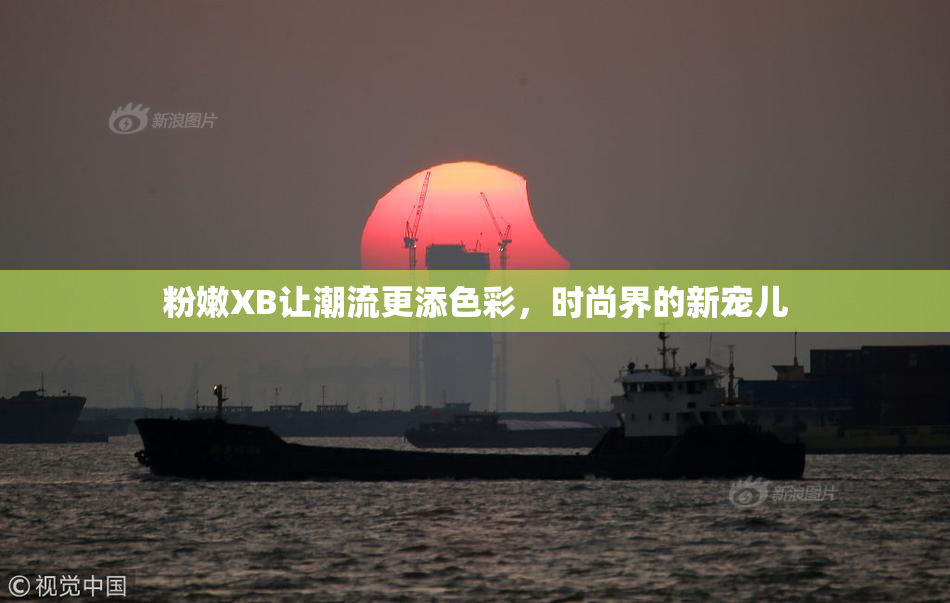 粉嫩XB让潮流更添色彩，时尚界的新宠儿