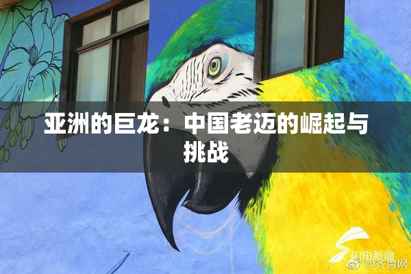 亚洲的巨龙：中国老迈的崛起与挑战