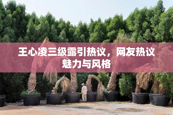 王心凌三级露引热议，网友热议魅力与风格