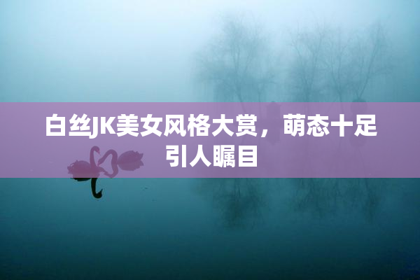 白丝JK美女风格大赏，萌态十足引人瞩目