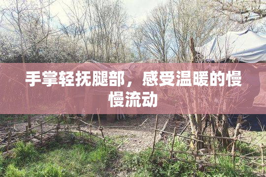 手掌轻抚腿部，感受温暖的慢慢流动