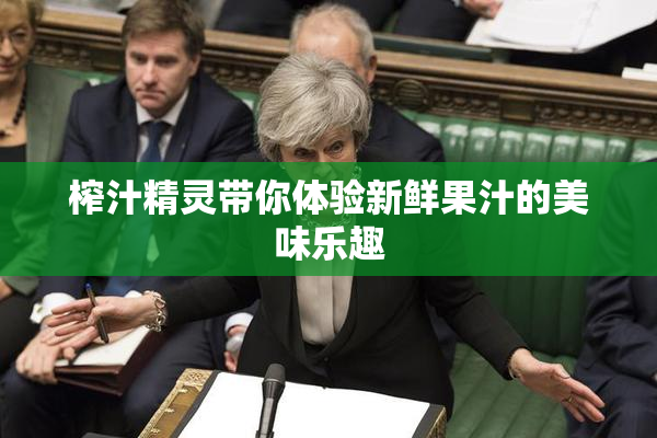 榨汁精灵带你体验新鲜果汁的美味乐趣