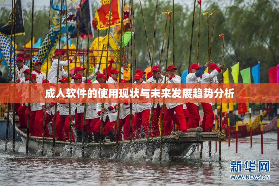 成人软件的使用现状与未来发展趋势分析