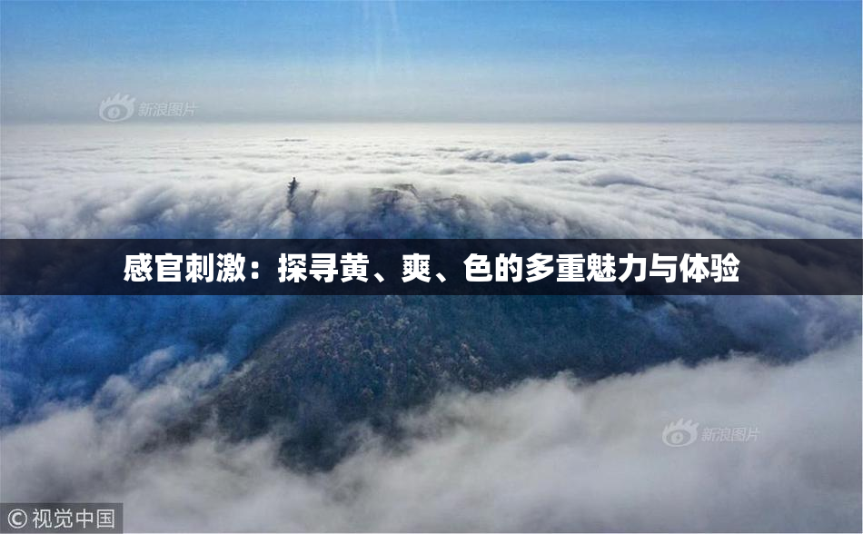 感官刺激：探寻黄、爽、色的多重魅力与体验