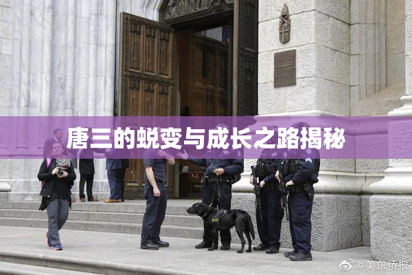 唐三的蜕变与成长之路揭秘