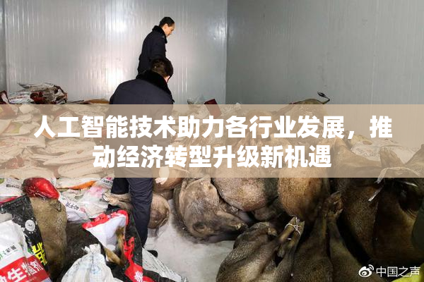 人工智能技术助力各行业发展，推动经济转型升级新机遇