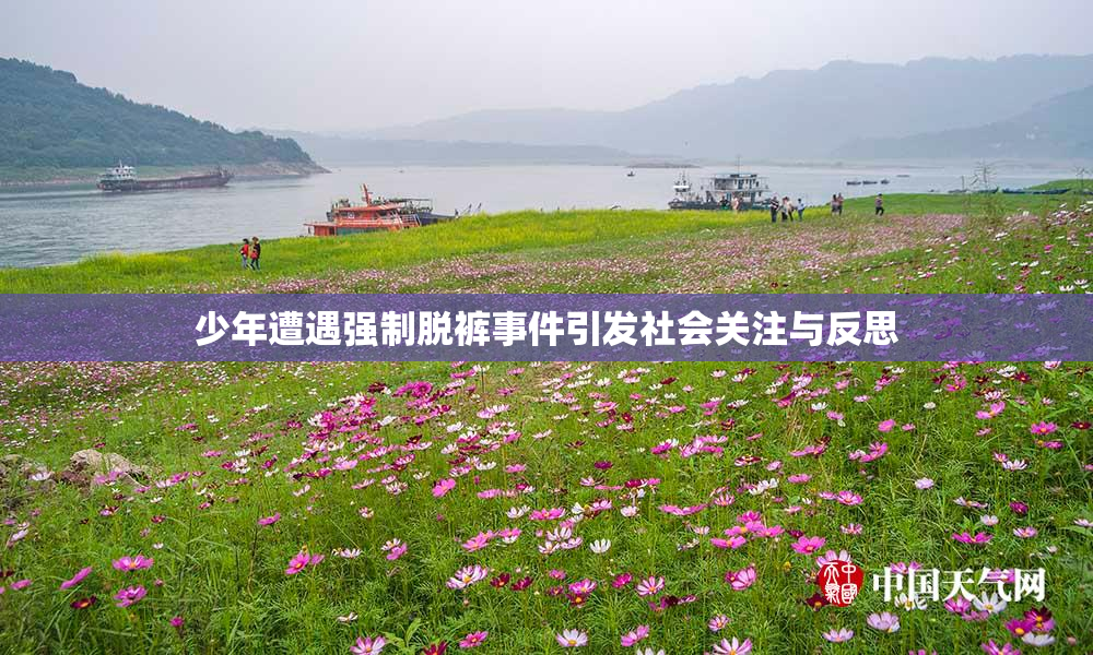 少年遭遇强制脱裤事件引发社会关注与反思