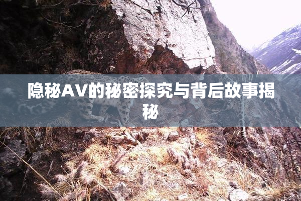 隐秘AV的秘密探究与背后故事揭秘