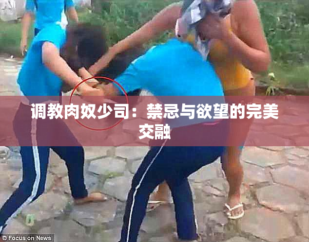 调教肉奴少司：禁忌与欲望的完美交融