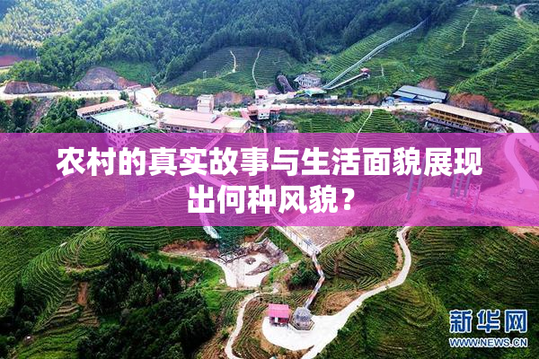 农村的真实故事与生活面貌展现出何种风貌？