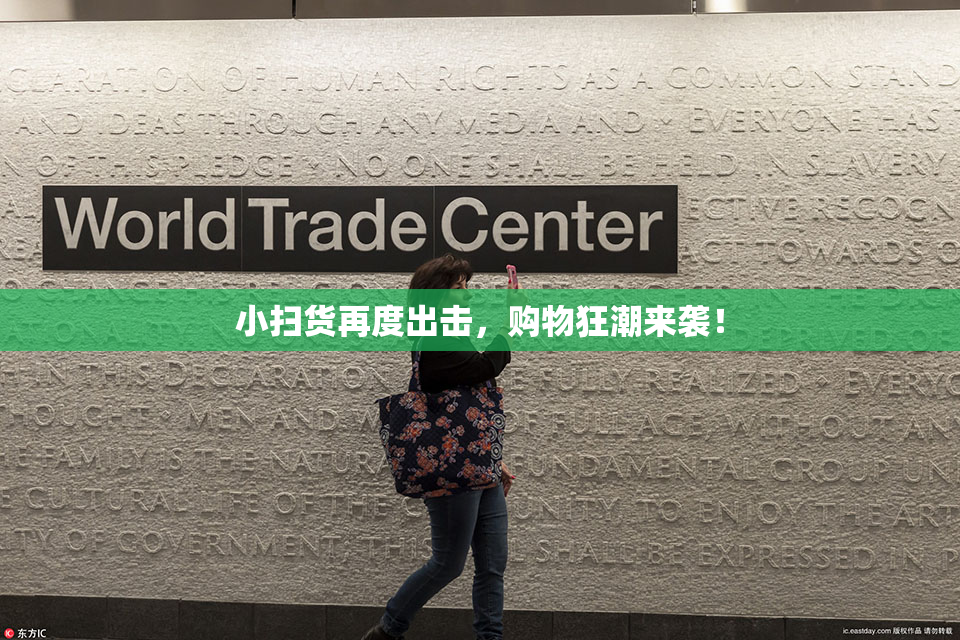 小扫货再度出击，购物狂潮来袭！