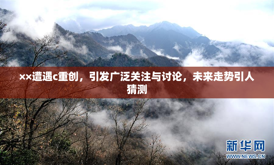 ××遭遇c重创，引发广泛关注与讨论，未来走势引人猜测