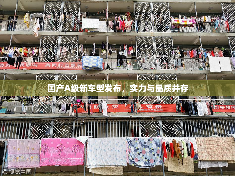 国产A级新车型发布，实力与品质并存