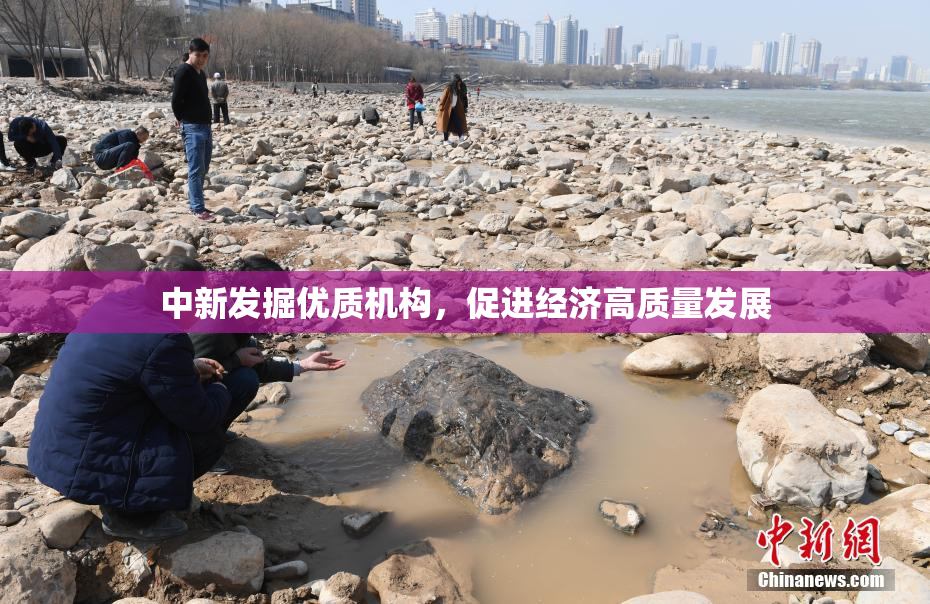 中新发掘优质机构，促进经济高质量发展