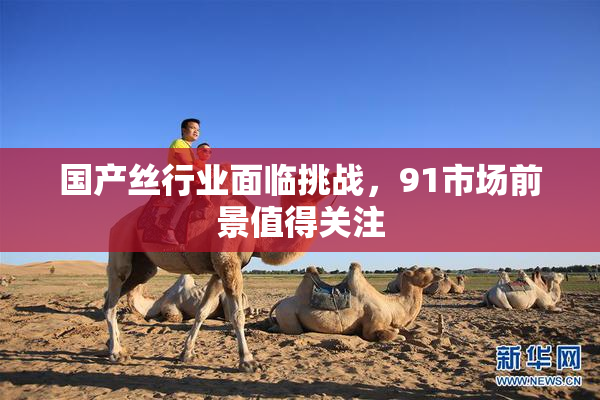 国产丝行业面临挑战，91市场前景值得关注