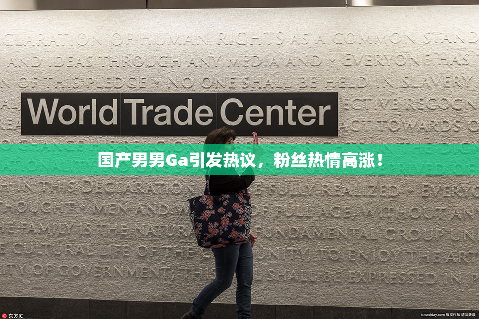 国产男男Ga引发热议，粉丝热情高涨！