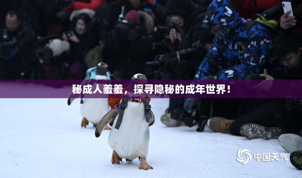 秘成人羞羞，探寻隐秘的成年世界！