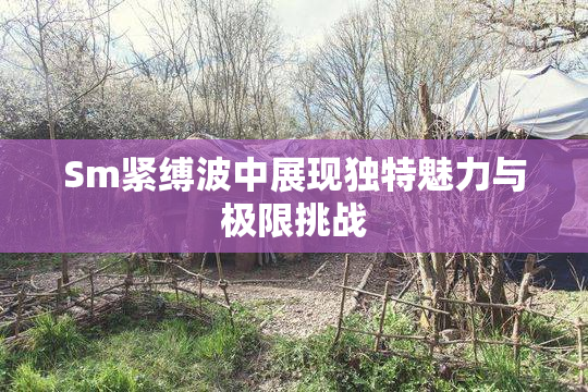 Sm紧缚波中展现独特魅力与极限挑战