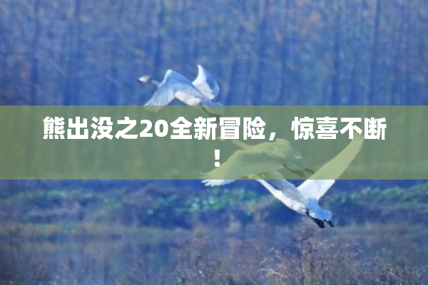 熊出没之20全新冒险，惊喜不断！