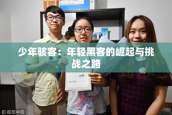 少年骇客：年轻黑客的崛起与挑战之路