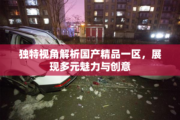 独特视角解析国产精品一区，展现多元魅力与创意