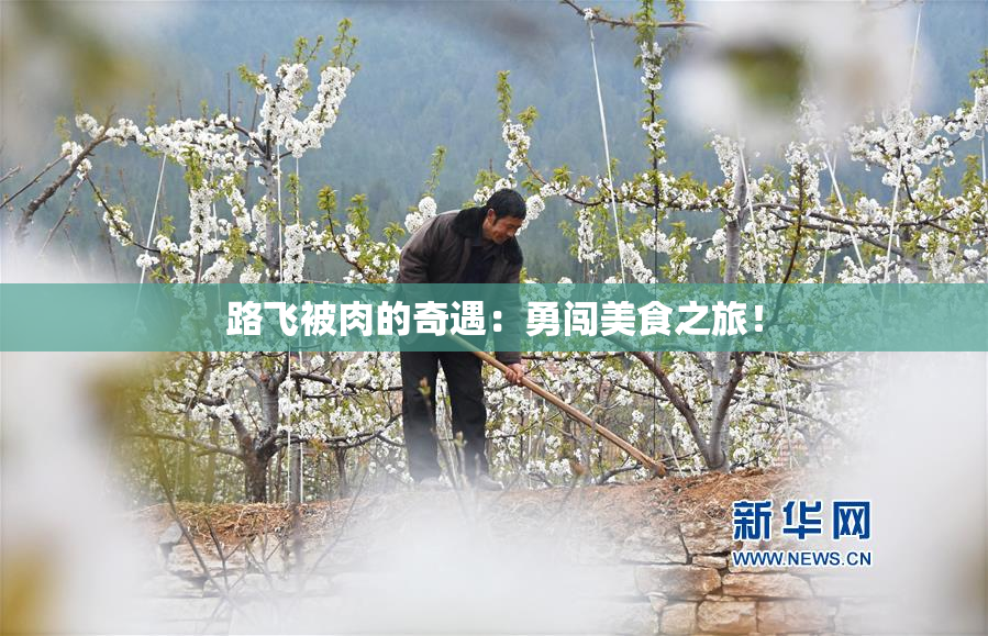 路飞被肉的奇遇：勇闯美食之旅！