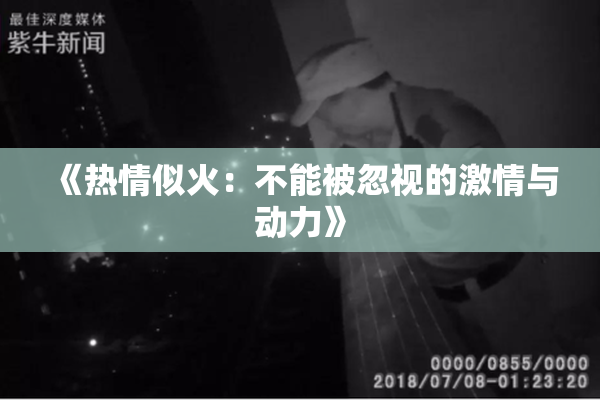 《热情似火：不能被忽视的激情与动力》