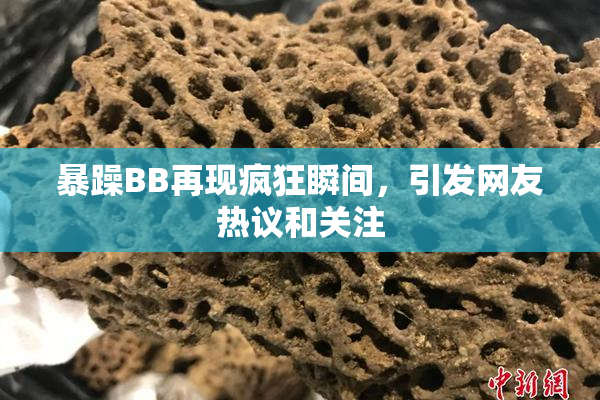 暴躁BB再现疯狂瞬间，引发网友热议和关注