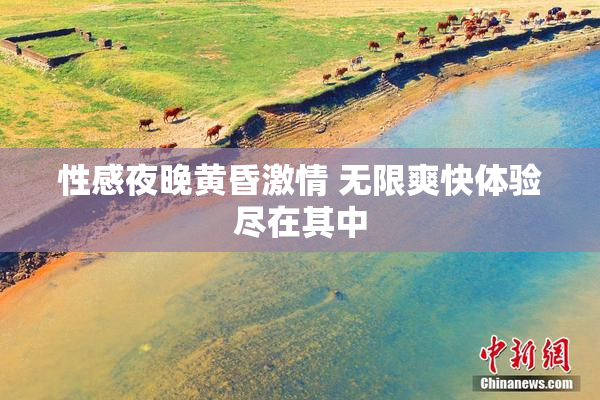 性感夜晚黄昏激情 无限爽快体验尽在其中