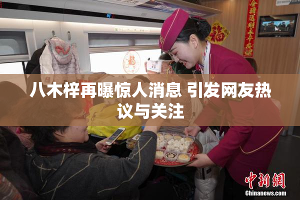 八木梓再曝惊人消息 引发网友热议与关注