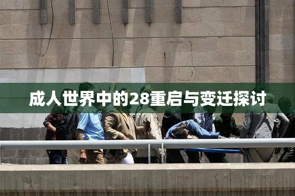 成人世界中的28重启与变迁探讨