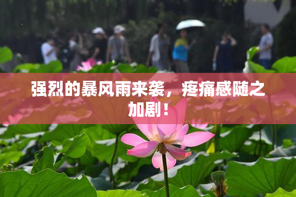 强烈的暴风雨来袭，疼痛感随之加剧！