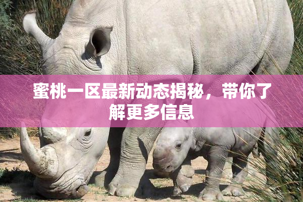 蜜桃一区最新动态揭秘，带你了解更多信息
