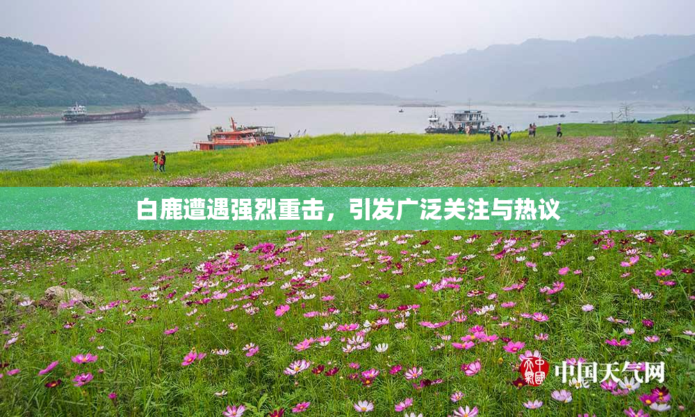 白鹿遭遇强烈重击，引发广泛关注与热议