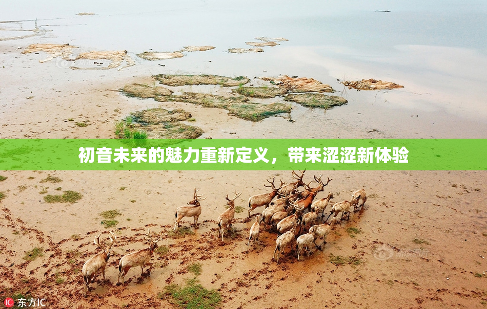 初音未来的魅力重新定义，带来涩涩新体验