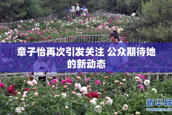 章子怡再次引发关注 公众期待她的新动态