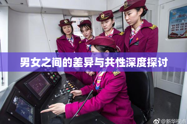 男女之间的差异与共性深度探讨