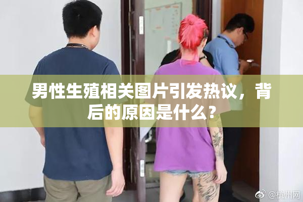 男性生殖相关图片引发热议，背后的原因是什么？