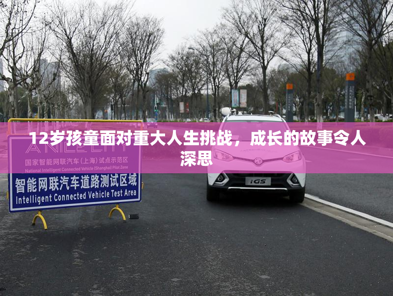 12岁孩童面对重大人生挑战，成长的故事令人深思