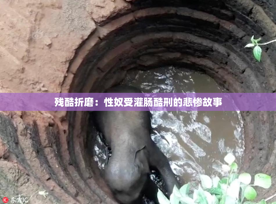 残酷折磨：性奴受灌肠酷刑的悲惨故事