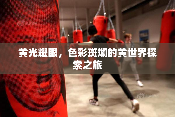 黄光耀眼，色彩斑斓的黄世界探索之旅
