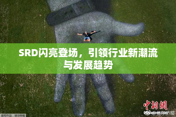 SRD闪亮登场，引领行业新潮流与发展趋势