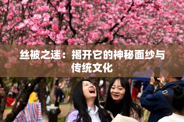 丝被之迷：揭开它的神秘面纱与传统文化