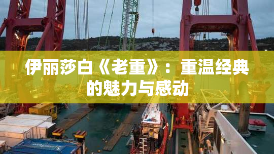 伊丽莎白《老重》：重温经典的魅力与感动